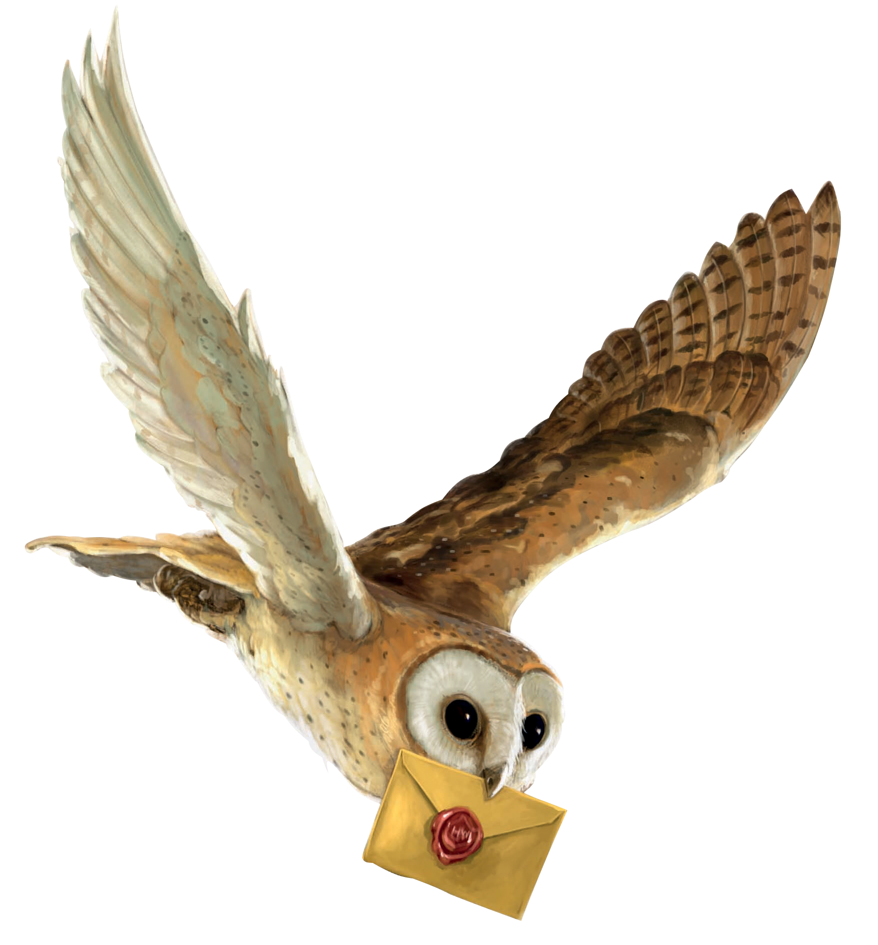 Coruja entregando a carta de Hogwarts
